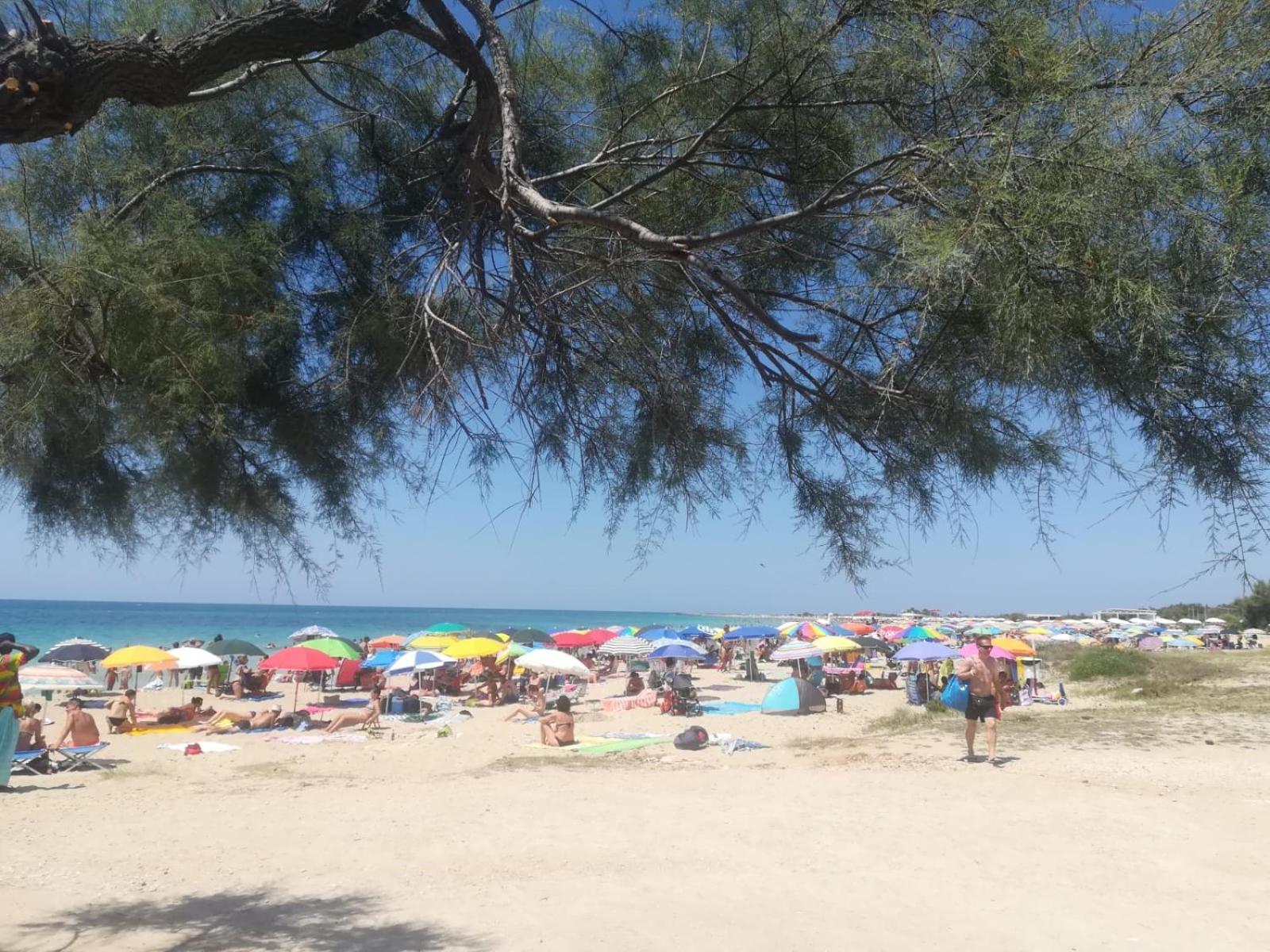 Casa Al Mare Le Dune Lido Marini Exteriör bild